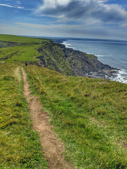 Coast path near Duckpool