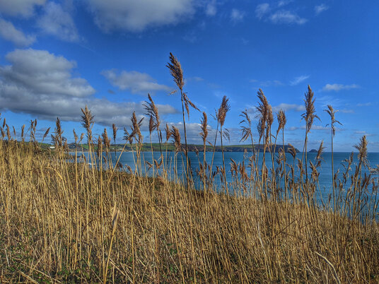 View from coast path to Pendower Beach