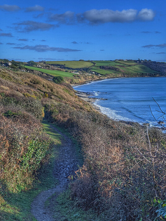 Along the coast path to Pendower Beach