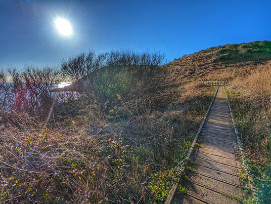 The walkway on the coast path to Portloe