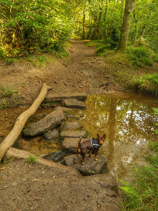 River crossing along the Cober