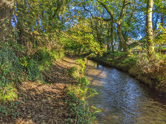 Path along the River Cober