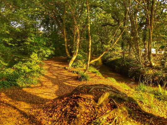 Path along the River Cober