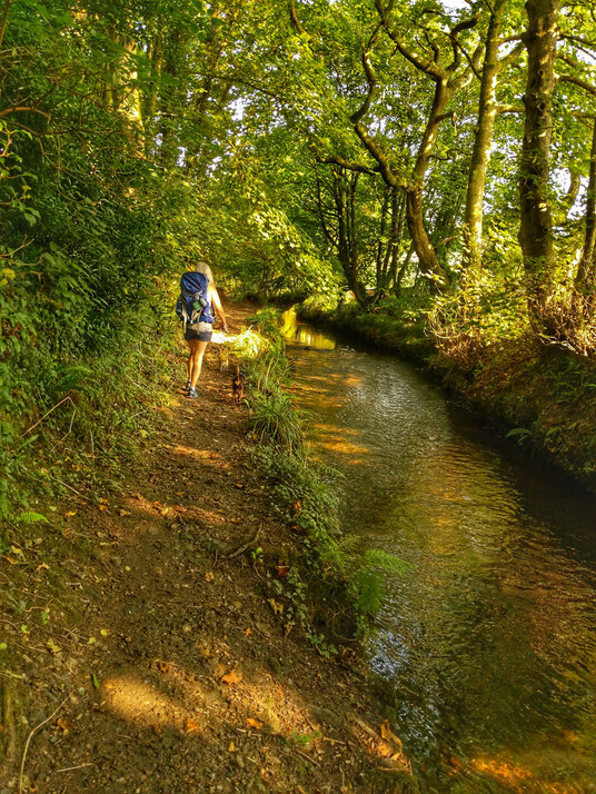 Path along the River Cober