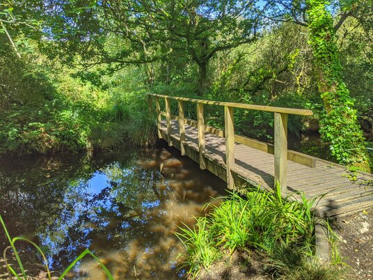 Footbridge at College Reservoir