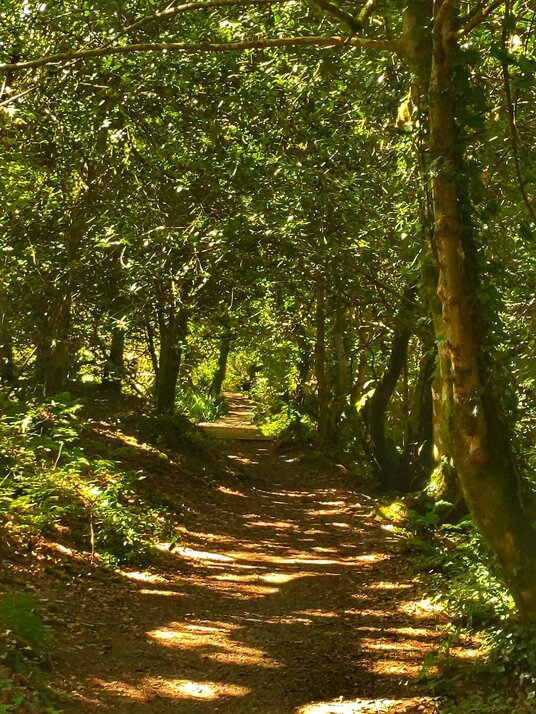 Path around College Reservoir