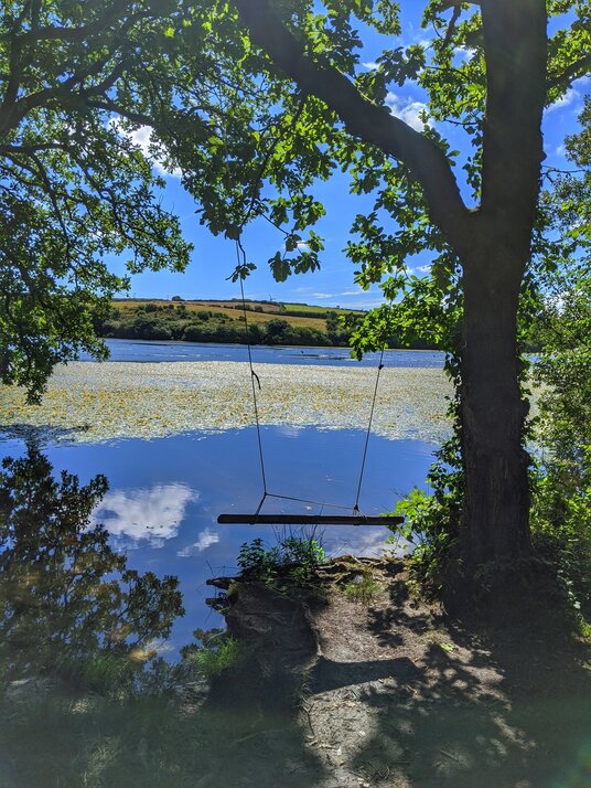 Swing at College Reservoir