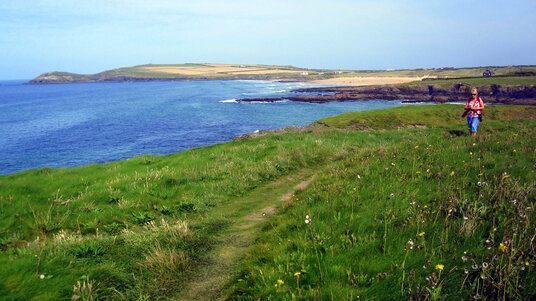 Coast path near Constantine Bay