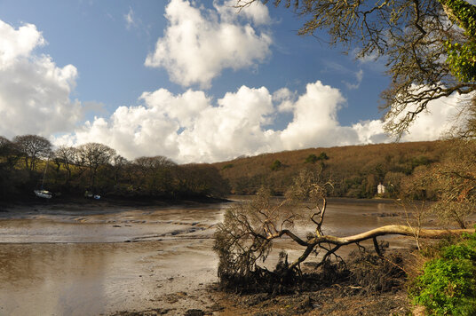 Creeks near Coombe
