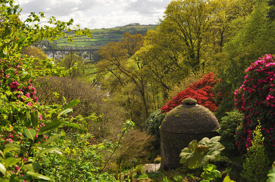 Cotehele gardens