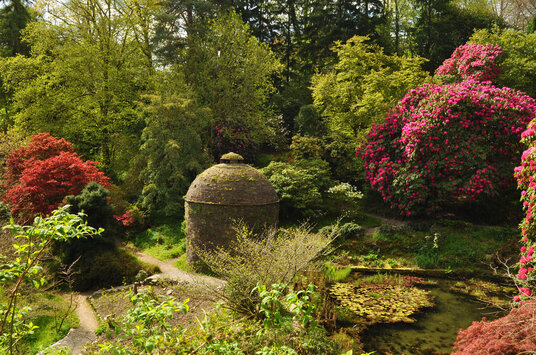 Cotehele gardens