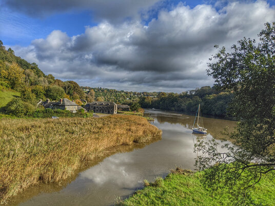 View over to Cotehele Quay