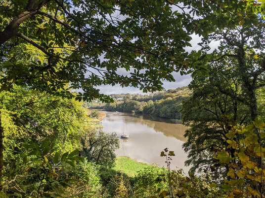 View over the River Tamar 