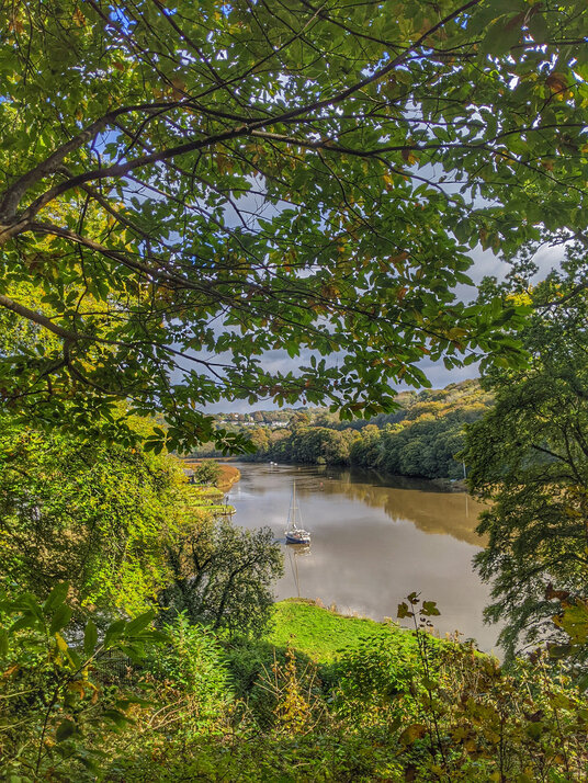 View over Cotehele Quay