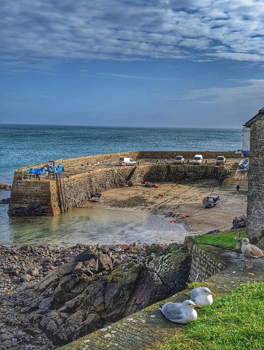 Coverack harbour