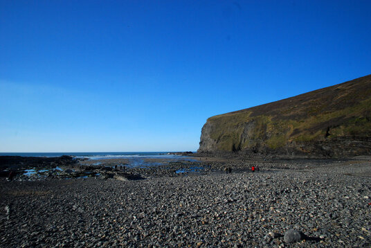 Crackington Haven