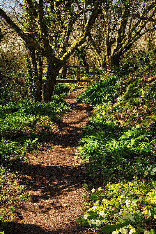 Path to Crafthole Reservoir
