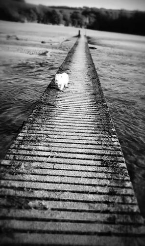Low-tide crossing to Newquay