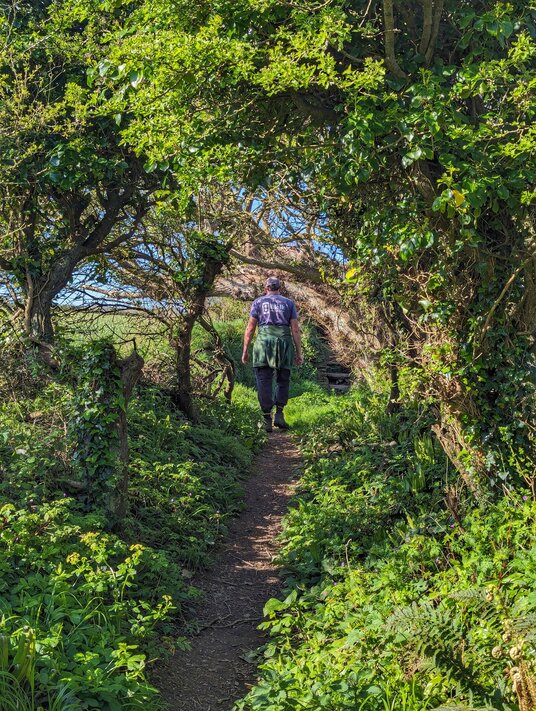 Footpath to Crantock