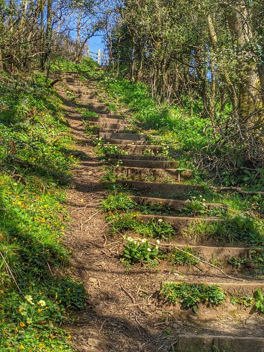 Steps to the Bush Inn