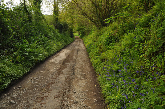 Track to Stampas Farm