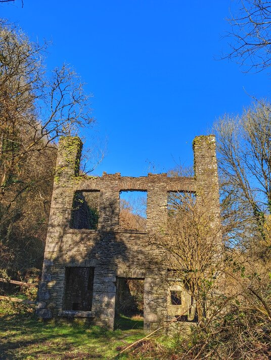 Old Paper Mill in the Danescombe Valley