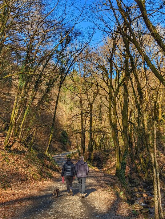Walkers in the Danescombe Valley