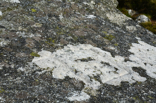 Euclidean carvings on Daniel Gumb's house