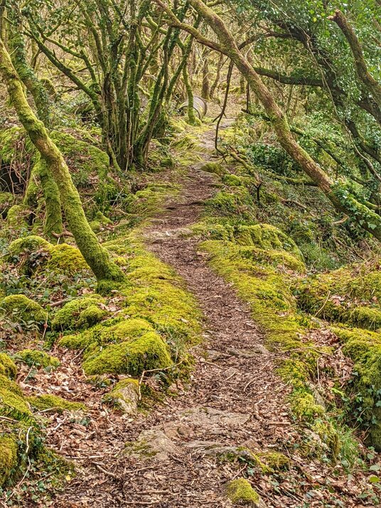 Footpath near the De Lank River