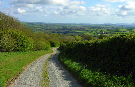 Track to Helland Barton