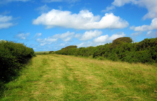 Track behind Delabole