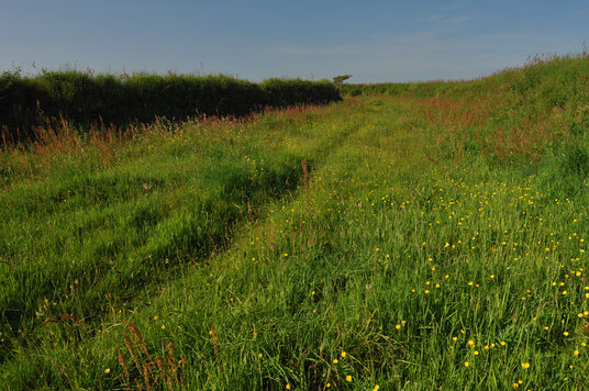 Droving track leading into Delabole