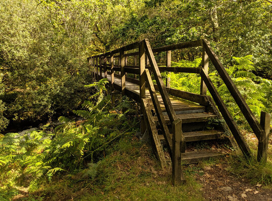 Bridge over the Delank River