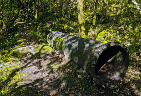 Remains of the China clay pipeline