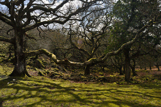 Next to the De Lank river