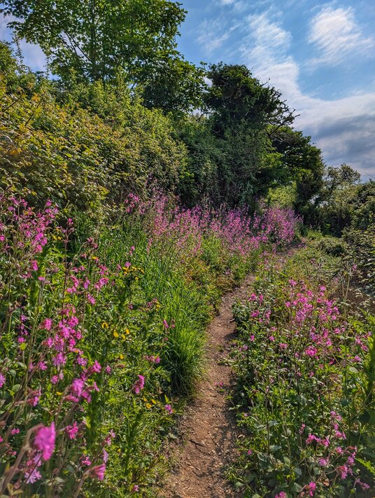 Coast path around Dennis Head