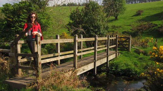 Bridge at Devil's Jump
