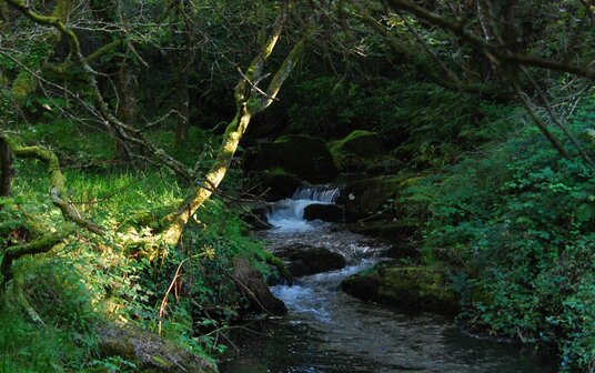 River at Devil's Jump