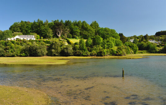 Carnon River at High Tide
