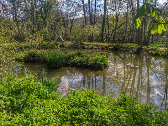 Lake near Dinham's Bridge