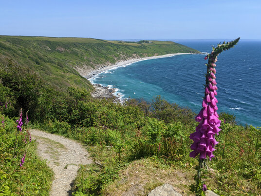 View from Dodman Point