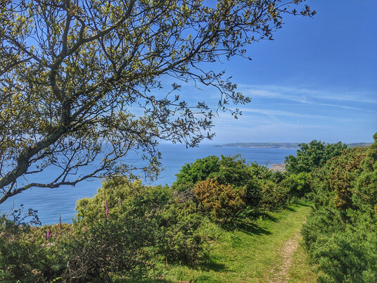 Coast path to Downderry