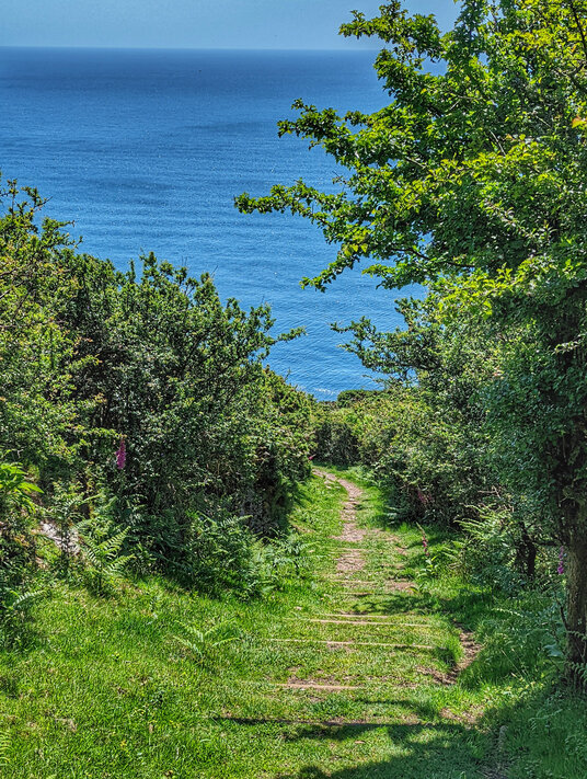 Coast path to Downderry