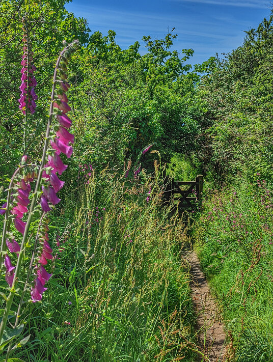 Coast path to Downderry
