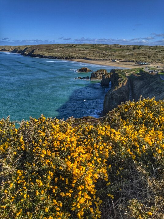 View from Droskyn Point
