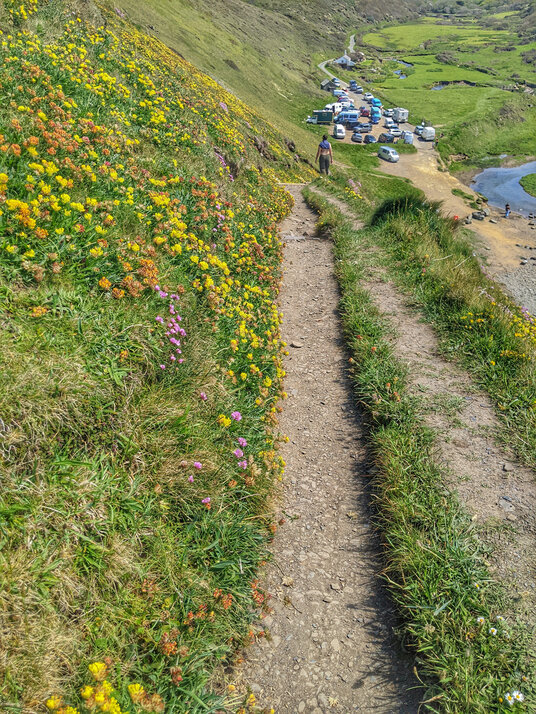 Coast path near Duckpool