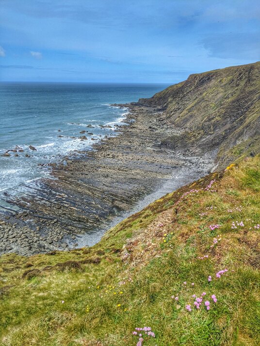 Coastline near Duckpool