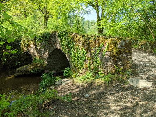 Bridge near Duloe