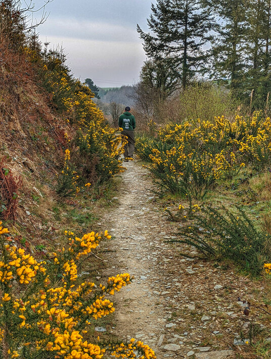 Path near Churchbridge