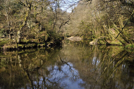 River Camel at Dunmere